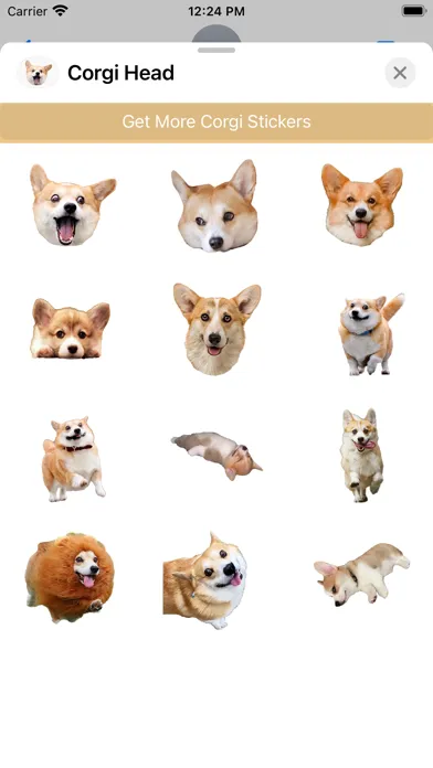 Corgi Dog's Head应用截图