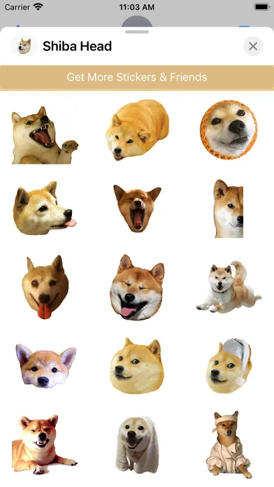 Shiba Dog's Head سکرین شاٹس