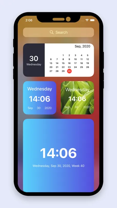 Zrzuty ekranu Widget Station