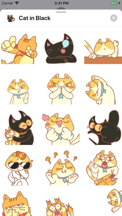 Cat in Black Animated Ekran Görüntüleri