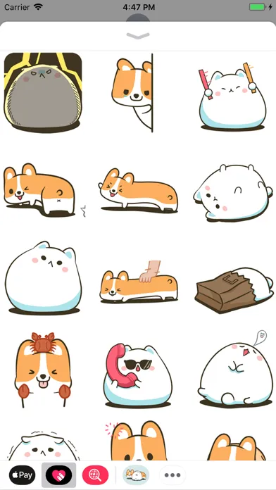 Zrzuty ekranu Dog and Cat Relationship