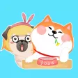 Puggy and Corgi
