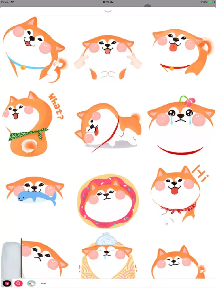 صور Puggy and Corgi iPad 