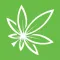 All About Wellness Sacramento