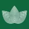 Zen Leaf