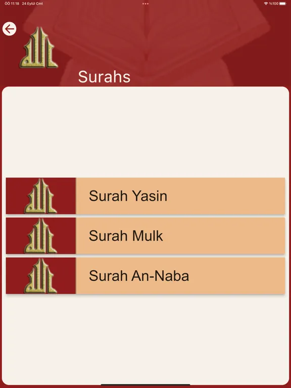 صور Small Jewshen and Meaning iPad 