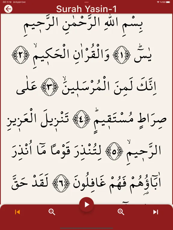صور Small Jewshen and Meaning iPad 