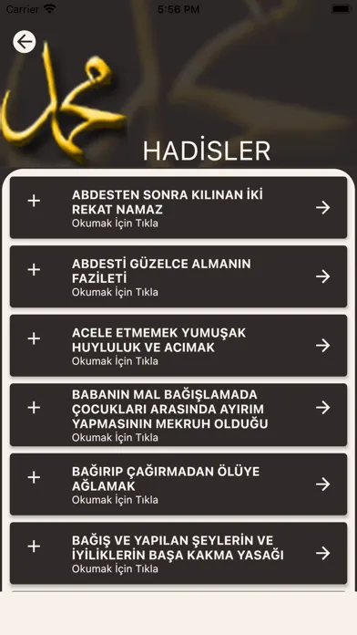 Peygamber Efendimizden Dualar应用截图