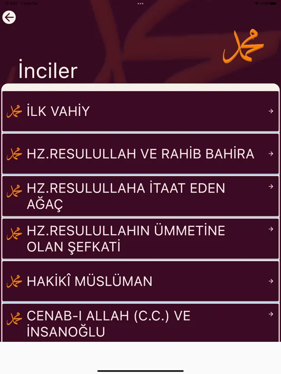 Скриншоты Peygamberimizin Örnek Hayatı iPad 