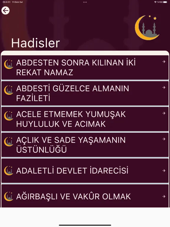Скриншоты Peygamberimizin Örnek Hayatı iPad 