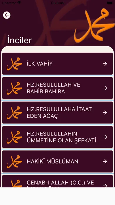 Скриншоты Peygamberimizin Örnek Hayatı