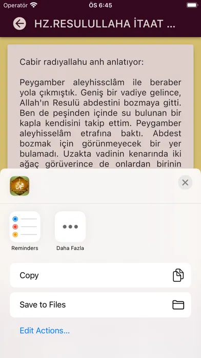 Скриншоты Peygamberimizin Örnek Hayatı