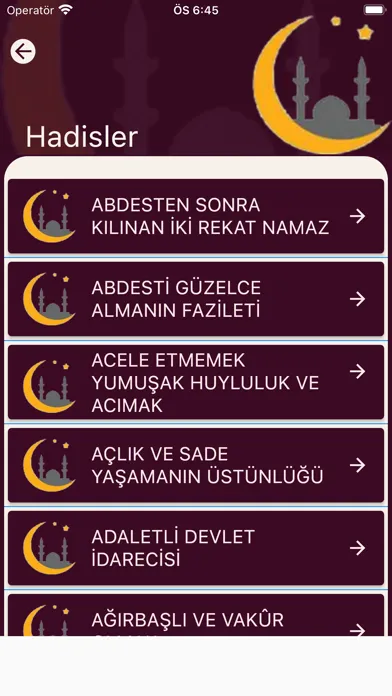 Скриншоты Peygamberimizin Örnek Hayatı