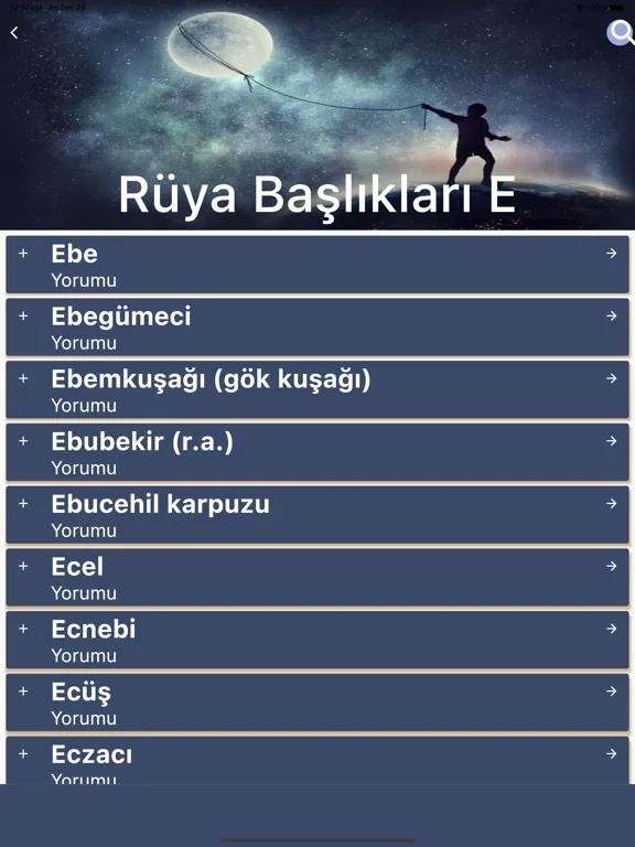 Yeni Rüya Tabirleri ve Yorumu iPad  سکرین شاٹس