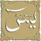 audio Yasin Mülk Amme Conquest