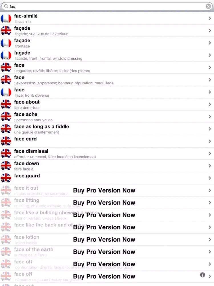 Capturas de pantalla de Offline French English Dictionary Translator for Tourists, Language Learners and Students iPad 