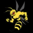 Stinger OneTouch Connect