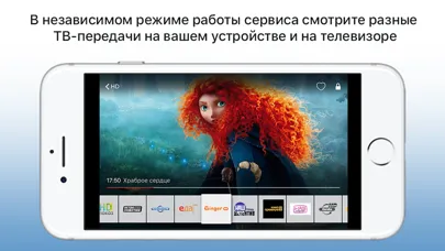 Мультиэкран應用截圖