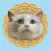 Mooncake the Ragdoll