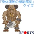『身体運動の機能解剖』クイズ