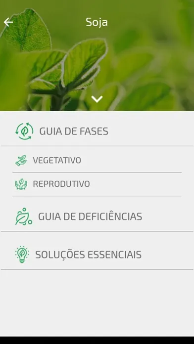 Soluções Essenciais Stoller سکرین شاٹس