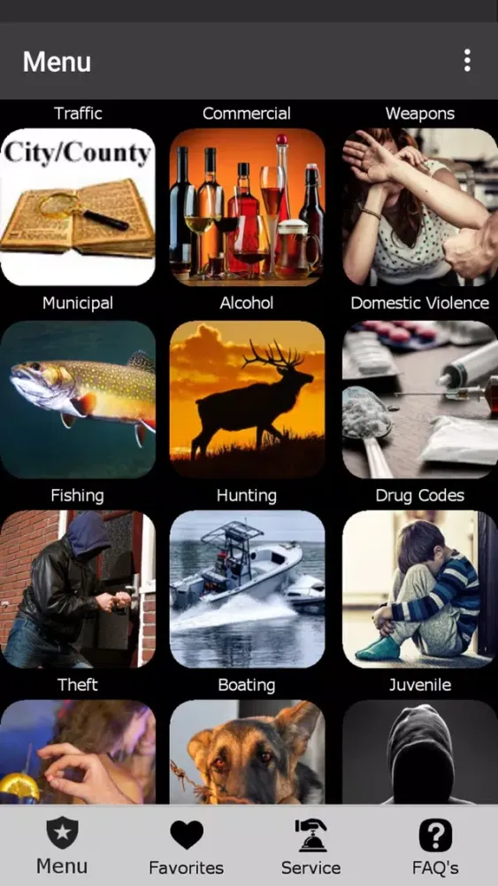 The Police App - International应用截图