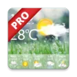 Weather Forecast Pro
