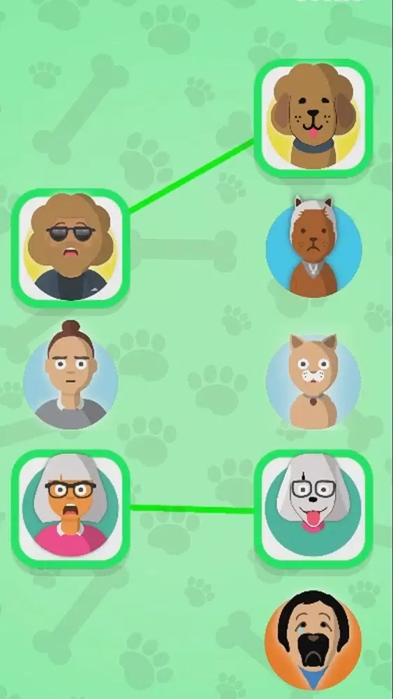 تصاویر Pets and Masters