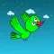 Crazy Bird