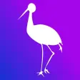 Stork Advisor Stork Advisor