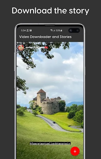 Скриншоты Video Downloader and Stories