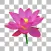 Background Eraser Free -CutOut