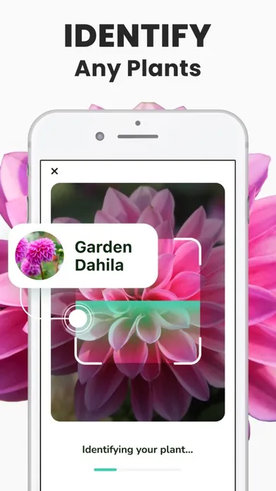 Capturas de pantalla de Plant Identifier - PlantMe