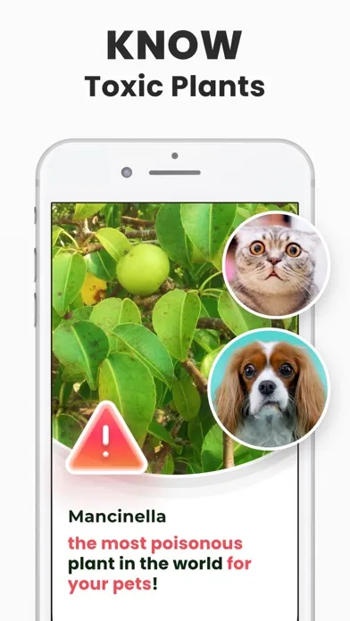 Capturas de pantalla de Plant Identifier - PlantMe