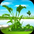 Strange Forest Adventure Strange Forest Adventure
