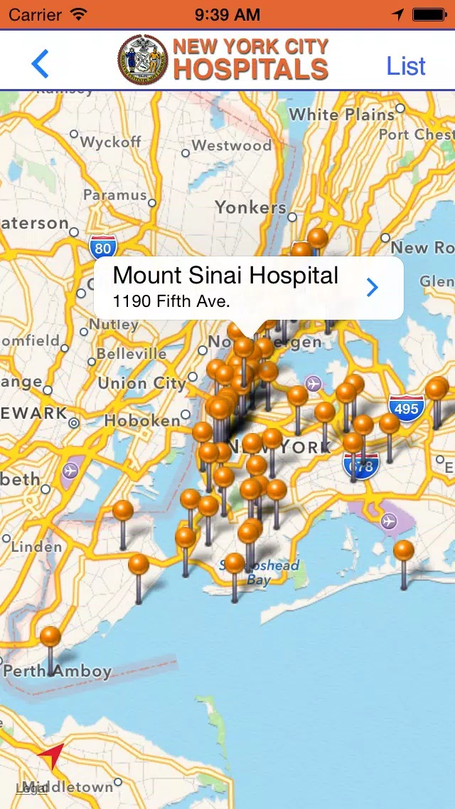 Tangkapan skrin NYPD Precincts