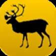CTA Wildlife CTA Wildlife