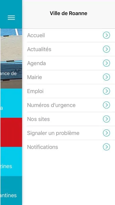 Screenshot di Roanne, l’Appli