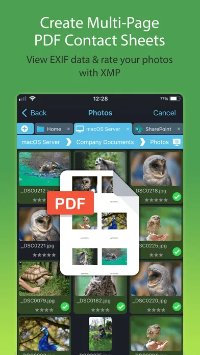 Capturas de tela do FileBrowser Professional