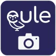 Eule Photo