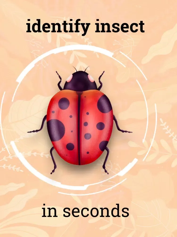صور Insect identification · iPad 