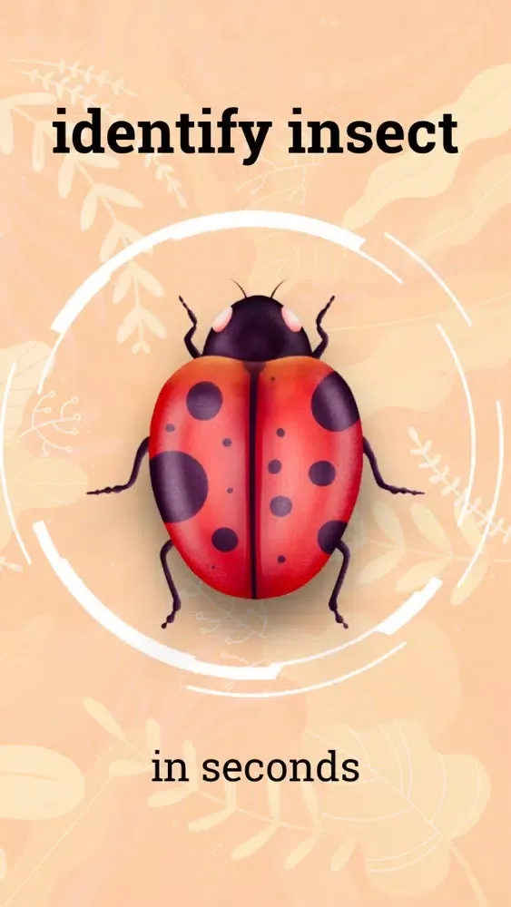صور Insect identification ·