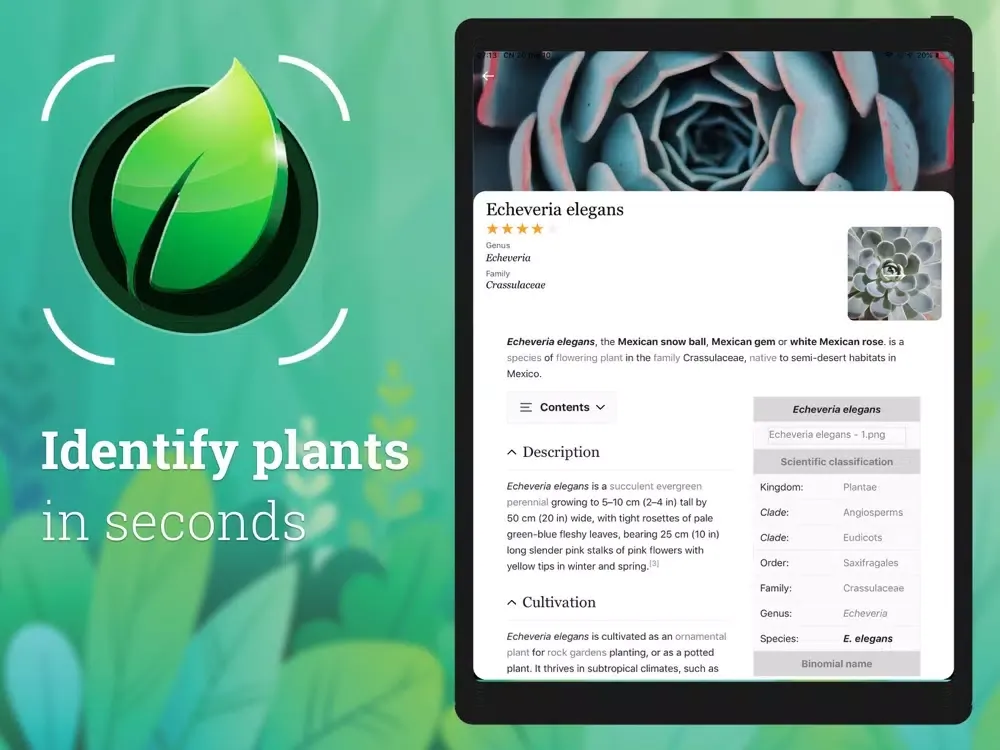 Plant Identification: Plant ID iPad 应用截图