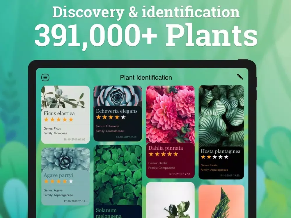 Plant Identification: Plant ID iPad 应用截图