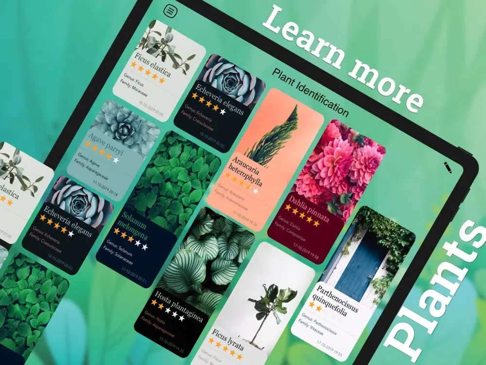 Plant Identification: Plant ID iPad 应用截图
