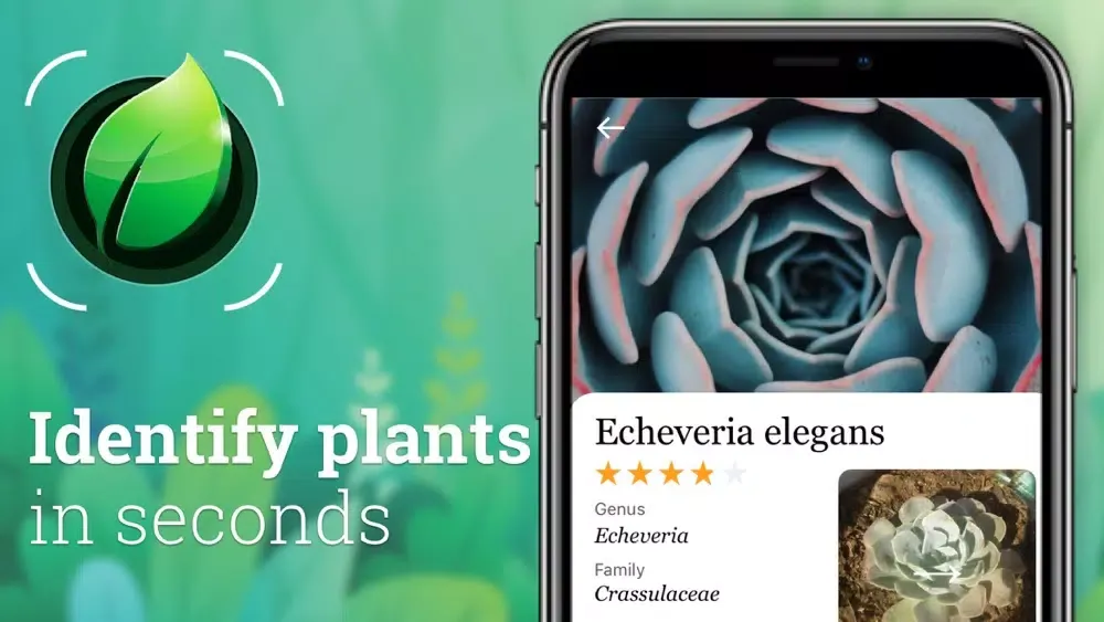 Plant Identification: Plant ID应用截图