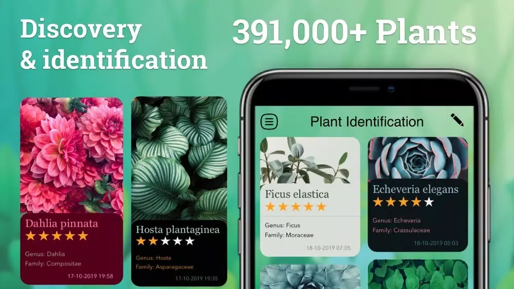 Plant Identification: Plant ID应用截图