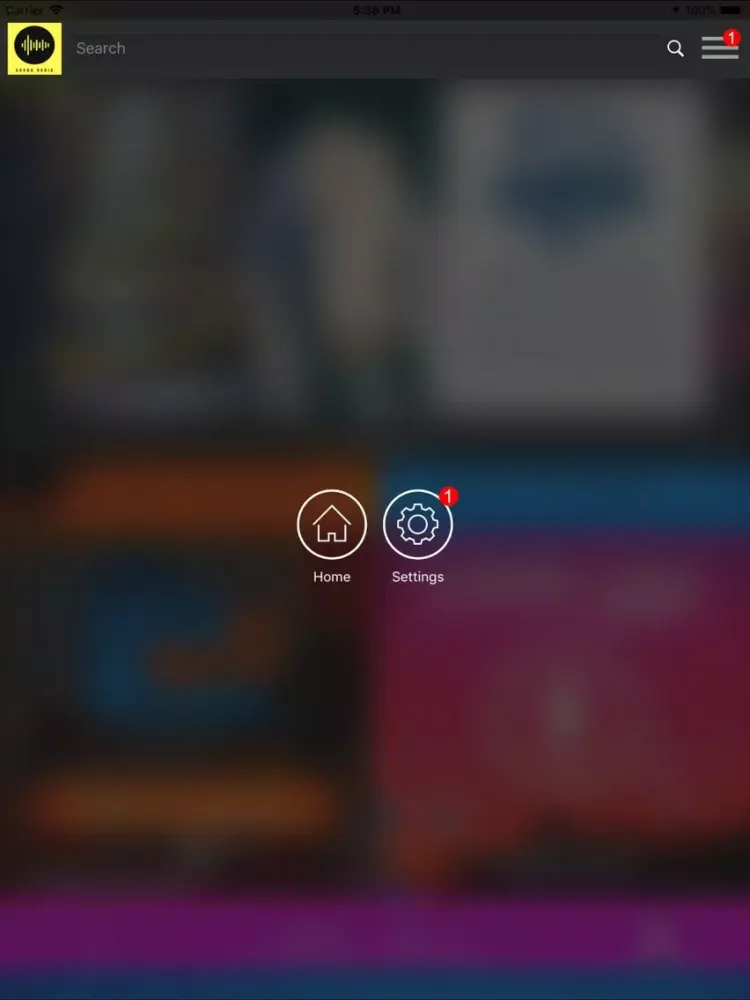Скриншоты Aruba Radio iPad 