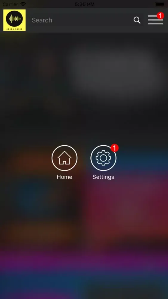 Скриншоты Aruba Radio