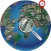 Street View Earth Map Live GPS